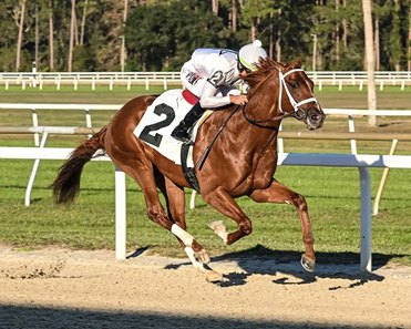 John Hancock wins his debut at Tampa Bay Downs