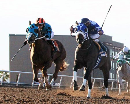 Holy Hank (inside) crosses the wire first in the Corralito Steak House Stakes at Sunland Park