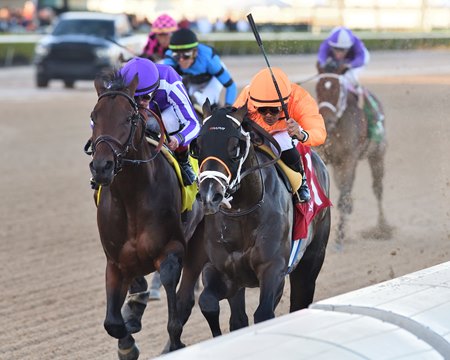 Guns Loaded wins the Mucho Macho Man Stakes at Gulfstream Park