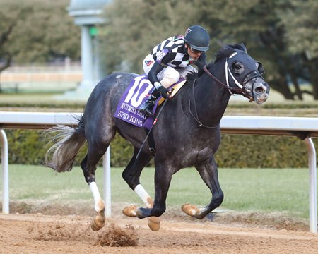 Speed King wins the Southwest Stakes at Oaklawn Park