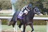 SPEED KING wins the 2025 Southwest Stakes at Oaklawn Park