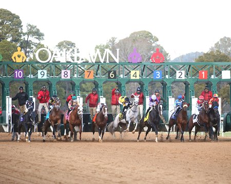 Sandman (No. 6, gray or roan) rears at the start of the Southwest Stakes at Oaklawn Park