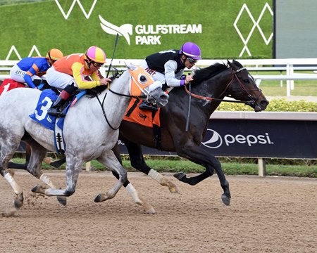 Damon's Mound wins the Sunshine Sprint Stakes at Gulfstream Park