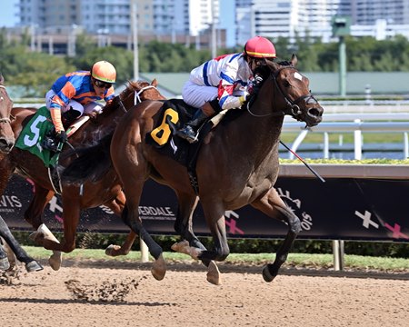 Jimmy's Dailys breaks his maiden at Gulfstream Park