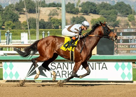 Big City Lights wins the Don Valpredo California Cup Sprint Stakes at Santa Anita Park