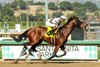 Big City Lights and jockey Flavien Prat win the $125,000 Don Valpredo California Cup Sprint, Saturday, January 18, 2025 at Santa Anita Park, Arcadia CA.
&#169; BENOIT PHOTO