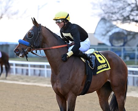 Cyclone State following his victory in the Jerome Stakes at Aqueduct Racetrack