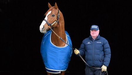 Richard Barry with Justify