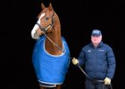 With Justify
Richard Barry, Ashford Stud stallion manager, at the stallion complex on Jan. 21, 2025. 