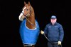 With Justify
Richard Barry, Ashford Stud stallion manager, at the stallion complex on Jan. 21, 2025. 