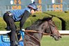 Gaming - Gallop - Oaklawn - 012325