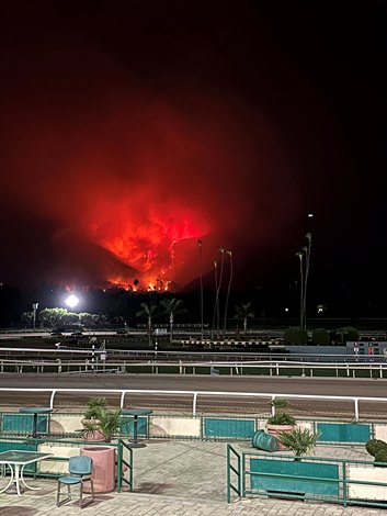 Wildfires Erupt Near Santa Anita Park