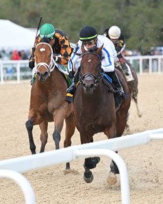 Naughty Rascal (left) is awarded the win after the disqualification of Owen Almighty (right) in the Pasco Stakes at Tampa Bay Downs