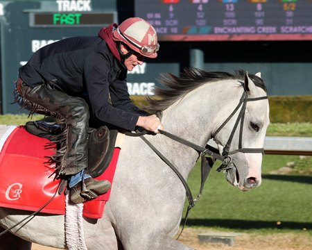 Sandman trains at Oaklawn Park