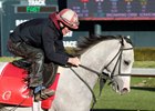 Sandman - Gallop - Oaklawn - 012325