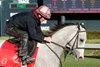 Sandman - Gallop - Oaklawn - 012325