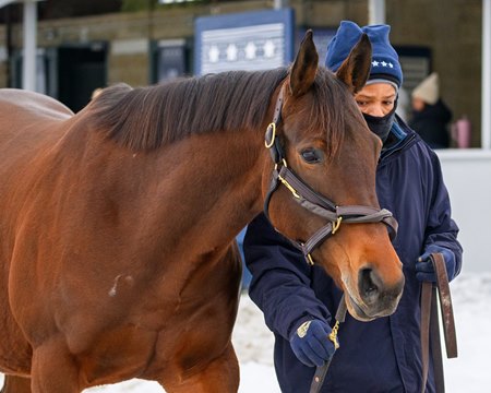 Hip 325, Mystify, in foal to Vekoma, is a half sister to Breeders' Cup Sprint winner Straight No Chaser