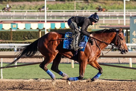 Barnes works at Santa Anita Park