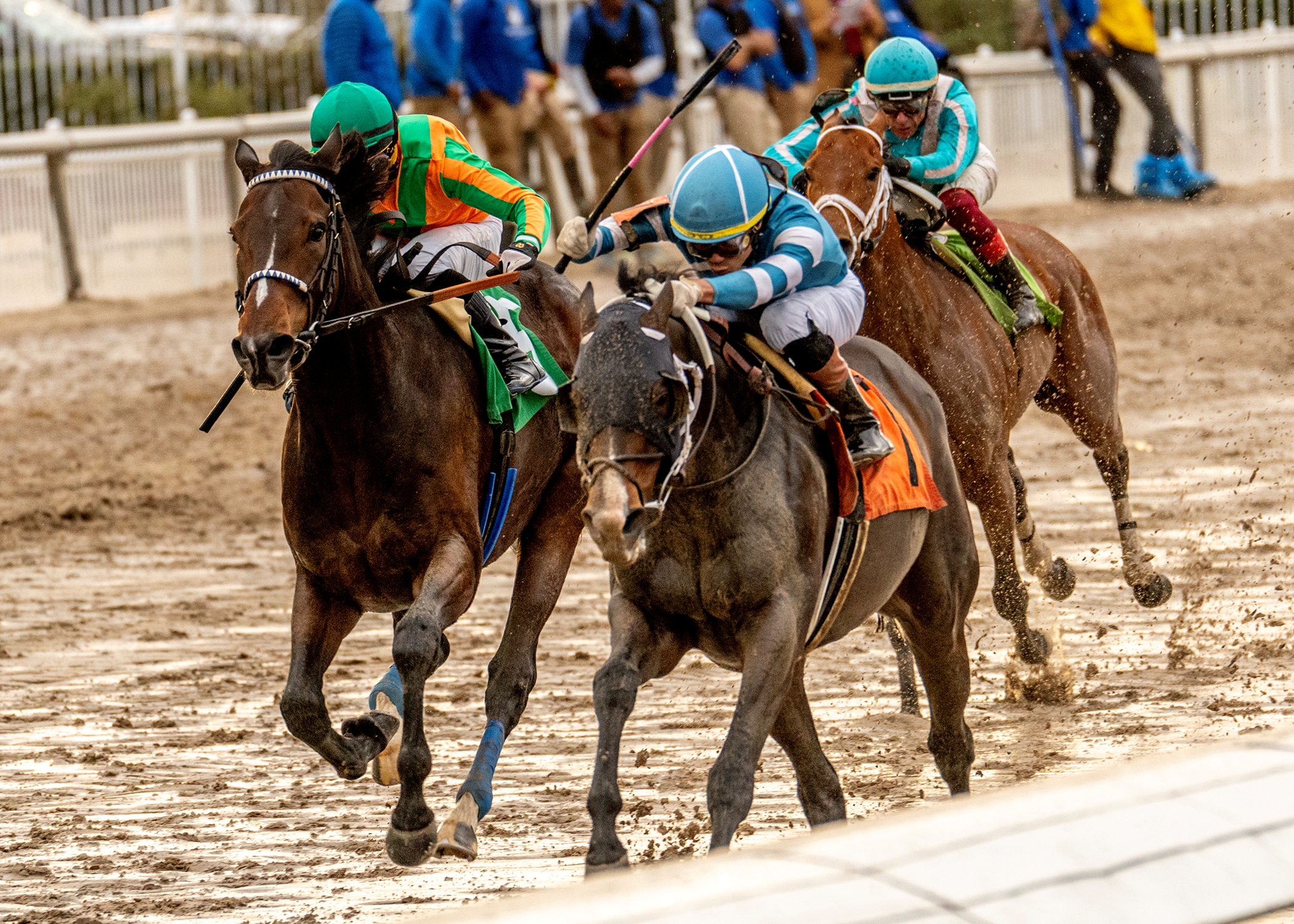Gigante wins the 2025 Colonel E. R. Bradley Stakes at Fair Grounds Race Course