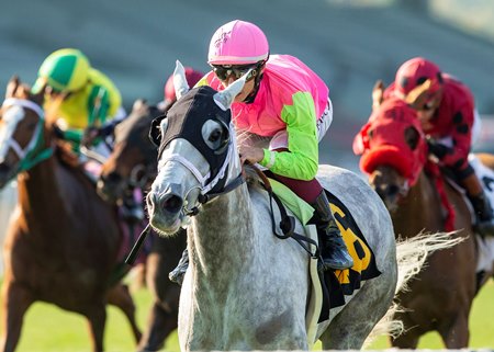 Shocking Grey wins the Sunshine Millions Filly and Mare Turf Sprint Stakes at Santa Anita Park