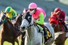 Valpredo Family Trust’s Shocking Grey and jockey Antonio Fresu win the $125,000 Sunshine Millions Filly and Mare Turf Sprint Saturday, January 18, 2025 at Santa Anita Park, Arcadia, CA.