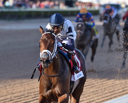 Five G wins the Cash Run Stakes at Gulfstream Park