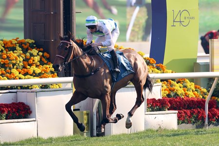 Voyage Bubble wins the Stewards' Cup at Sha Tin Racecourse