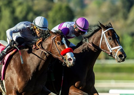 Look Forward (right) outduels Artisma in the Santa Ynez Stakes at Santa Anita Park