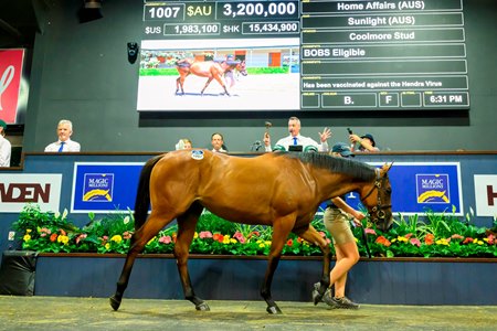 The Home Affairs filly consigned as Lot 1007 sells for a Magic Millions Gold Coast Yearling Sale record AU$3.2 million