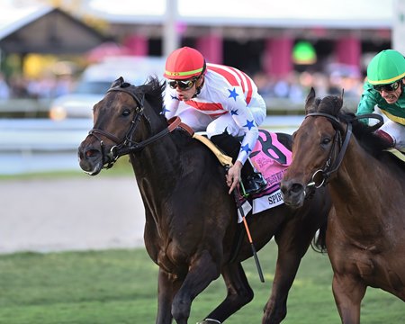 Spirit of St Louis wins the Pegasus World Cup Turf Invitational Stakes at Gulfstream Park