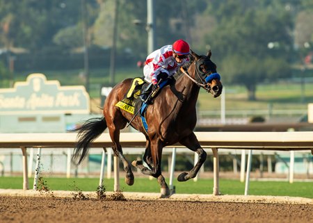 Cavalieri, trained by Bob Baffert, wins last year's edition of the La Canada Stakes.