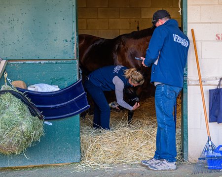 With information from 4 million veterinary records, the Horseracing Integrity and Safety Authority is poised to further improve its oversight of the sport