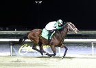 California Burrito, AOC, Turfway Park, January 24 2025