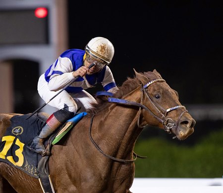 Rattle N Roll wins the Custodian of the Two Holy Mosques Cup at King Abdulaziz Racecourse