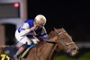 Rattle N Roll wins the 2025 Custodian of the Two Holy Mosques Cup at King Abdulaziz Racecourse