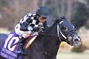 SPEED KING wins the 2025 Southwest Stakes at Oaklawn Park