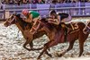 ​1/18/2025 - Disco Time with jockey Florent Geroux aboard get a head in front of Built to win the 81st running of the Grade III $250,000 Lecomte Stakes at Fair Grounds.  Hodges Photography / Amanda Hodges Weir