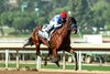 Zedan Racing&#39;s Barnes and jockey Juan Hernandez win the G2 $200,000 San Vicente Stakes Saturday January 4, 2025 at Santa Anita Park, Arcadia, CA.  The 3-year-old son of Into Mischief is named after trainer Bob Baffert’s assistant trainer Jimmy Barnes.
Benoit Photo