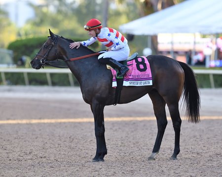 Spirit of St Louis after winning the Pegasus World Cup Turf Invitational at Gulfstream Park