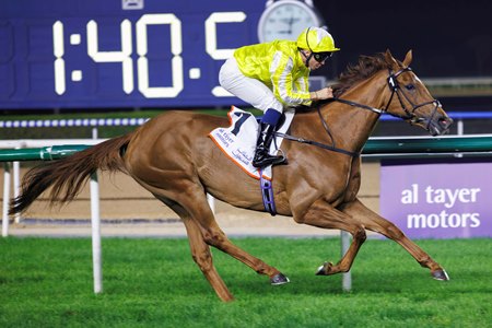 Choisya wins the Cape Verdi Stakes at Meydan Racecourse