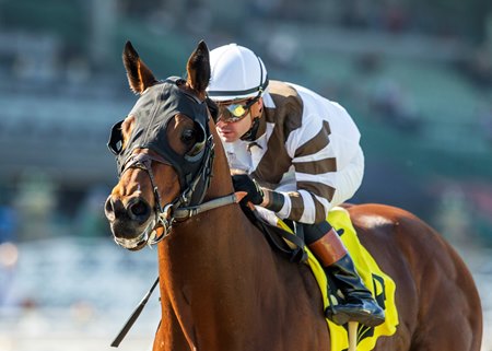 Big City Lights wins the California Cup Sprint Stakes at Santa Anita Park