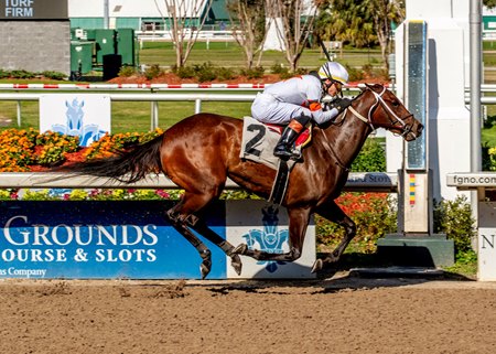 Basile breaks her maiden at Fair Grounds Race Course