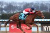 Running Away wins the 2025 Busanda Stakes at Aqueduct Racetrack