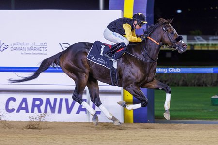 Tuz wins the Dubawi Stakes at Meydan Racecourse