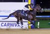 Tuz wins the 2025 Dubawi Stakes at Meydan Racecourse