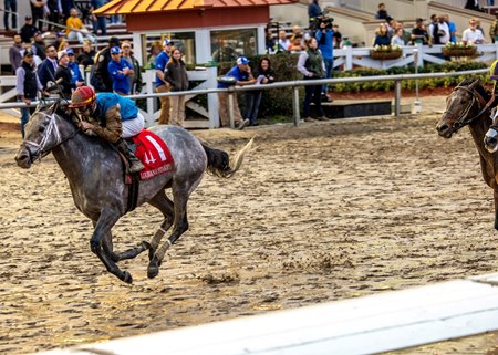 Hit Show wins the Louisiana Stakes at Fair Grounds Race Course