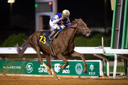 Rattle N Roll wins the Custodian of the Two Holy Mosques Cup, the local qualifier for the Saudi Cup, at King Abdulaziz Racecourse