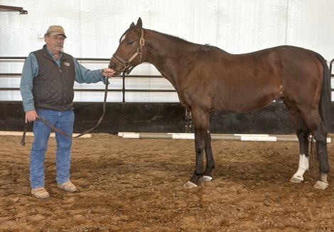 Professor, Stallion Rejoin to Teach Kansas Ag Students