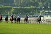 Werthheimer and Frere’s Toupie and jockey Flavien Prat, right, win the Grade III $100,000 Las Cienegas Stakes Sunday, January 19, 2025 at Santa Anita Park, Arcadia, CA.
Benoit Photo