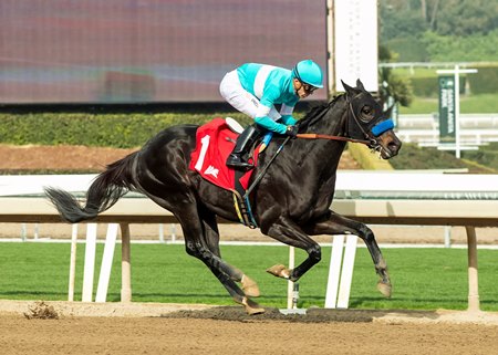 Rodriguez wins a maiden special weight at Santa Anita Park